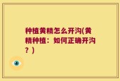 种植黄精怎么开沟(黄精种植：如何正确开沟？)