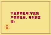 宁夏黄精牡蛎(宁夏出产黄精牡蛎，开创新蓝海)