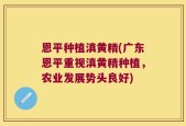 恩平种植滇黄精(广东恩平重视滇黄精种植，农业发展势头良好)