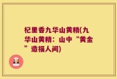 杞里香九华山黄精(九华山黄精：山中“黄金”造福人间)