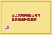 山上发现黄精(山林珍品黄精成神奇发现)