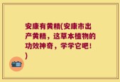安康有黄精(安康市出产黄精，这草本植物的功效神奇，学学它吧！)