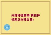 兴隆种植黄精(黄精种植助您兴旺生意)