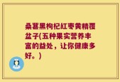 桑葚黑枸杞红枣黄精覆盆子(五种果实营养丰富的益处，让你健康多好。)