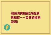 湖南滇黄精苗(湖南滇黄精苗——宝贵的植物资源)