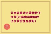 云南省曲靖市黄精种子批发(云南曲靖黄精种子批发价优品质好)