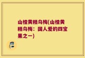山楂黄精乌梅(山楂黄精乌梅：国人爱的四宝果之一)