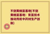 不倒黄精苗基地(不倒黄精苗基地：育苗技术推动传统中药材生产创新)