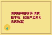 滇黄精种植收获(滇黄精丰收：优质产出助力农民致富)