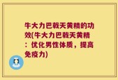 牛大力巴戟天黄精的功效(牛大力巴戟天黄精：优化男性体质，提高免疫力)