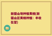 新疆山地种植黄精(新疆山区黄精种植：丰收在望)