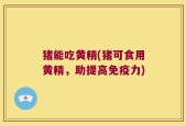 猪能吃黄精(猪可食用黄精，助提高免疫力)