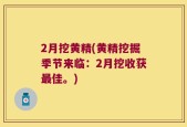 2月挖黄精(黄精挖掘季节来临：2月挖收获最佳。)