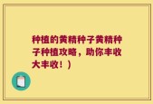 种植的黄精种子黄精种子种植攻略，助你丰收大丰收！)