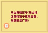 乐山黄精苗子(乐山地区黄精苗子重现青春，发展前景广阔)