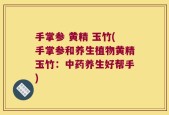 手掌参 黄精 玉竹(手掌参和养生植物黄精玉竹：中药养生好帮手)