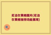 尼泊尔黄精图片(尼泊尔黄精独特功能展现)