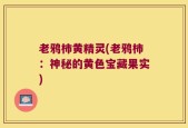 老鸦柿黄精灵(老鸦柿：神秘的黄色宝藏果实)