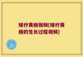 矮杆黄精视频(矮杆黄精的生长过程视频)