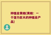 种植业黄精(黄精：一个潜力巨大的种植业产品)