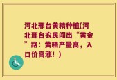 河北邢台黄精种植(河北邢台农民闯出“黄金”路：黄精产量高，入口价高涨！)