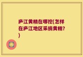 庐江黄精在哪挖(怎样在庐江地区采摘黄精？)
