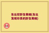 东北挖野生黄精(东北发现珍贵的野生黄精)