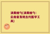 滇黄精勺(滇黄精勺：云南省发现古代医学工具)