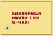 沈阳滇黄精种植(沈阳种植滇黄精 – 引领新一轮发展)