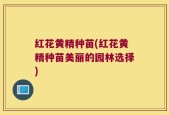 红花黄精种苗(红花黄精种苗美丽的园林选择)