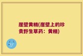崖壁黄精(崖壁上的珍贵野生草药：黄精)