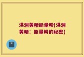 洪洞黄精能量粉(洪洞黄精：能量粉的秘密)