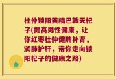 杜仲锁阳黄精巴戟天杞子(提高男性健康，让你红枣杜仲健脾补肾，润肺护肝，带你走向锁阳杞子的健康之路)