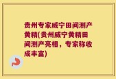 贵州专家威宁田间测产黄精(贵州威宁黄精田间测产亮相，专家称收成丰富)