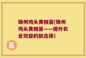 锦州鸡头黄精苗(锦州鸡头黄精苗——提升农业效益的新选择)