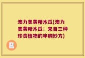 澳力美黄精木瓜(澳力美黄精木瓜：来自三种珍贵植物的丰胸妙方)