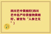 四川巴中黄精籽(四川巴中出产珍贵植物黄精籽，被誉为“人参之兄”)