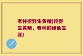 老林挖野生黄精(挖野生黄精，老林的绿色生涯)