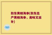 敖东黄精海参(敖东出产黄精海参，美味又滋补)