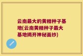 云南最大的黄精种子基地(云南黄精种子最大基地揭开神秘面纱)