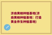 济南黄精种植基地(济南黄精种植基地：打造黄金养生种植基地)