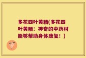 多花四叶黄精(多花四叶黄精：神奇的中药材能够帮助身体康复！)