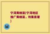 宁洱黄精苗(宁洱地区推广黄精苗，效果显著)
