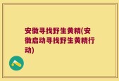 安徽寻找野生黄精(安徽启动寻找野生黄精行动)