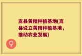 嵩县黄精种植基地(嵩县设立黄精种植基地，推动农业发展)