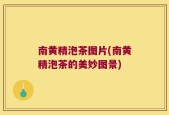 南黄精泡茶图片(南黄精泡茶的美妙图景)