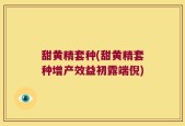 甜黄精套种(甜黄精套种增产效益初露端倪)