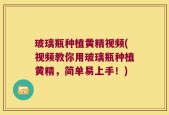 玻璃瓶种植黄精视频(视频教你用玻璃瓶种植黄精，简单易上手！)