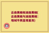 云南黄精和湖南黄精(云南黄精与湖南黄精：地域不同呈现差异)