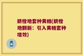 脐橙地套种黄精(脐橙地翻新：引入黄精套种增效)